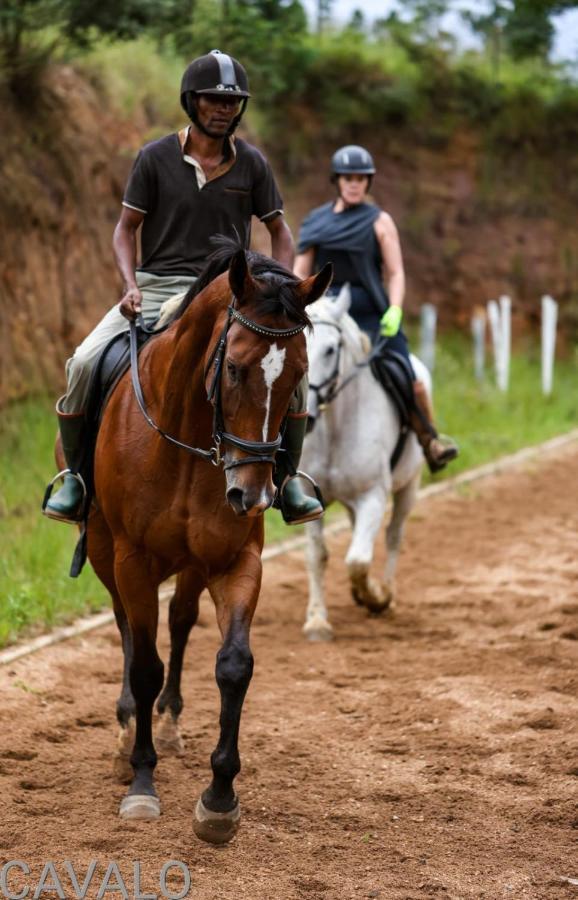 Cavalo Guesthouse & Equestrian Estate Drummond 외부 사진