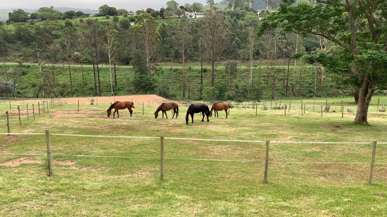 Cavalo Guesthouse & Equestrian Estate Drummond 외부 사진