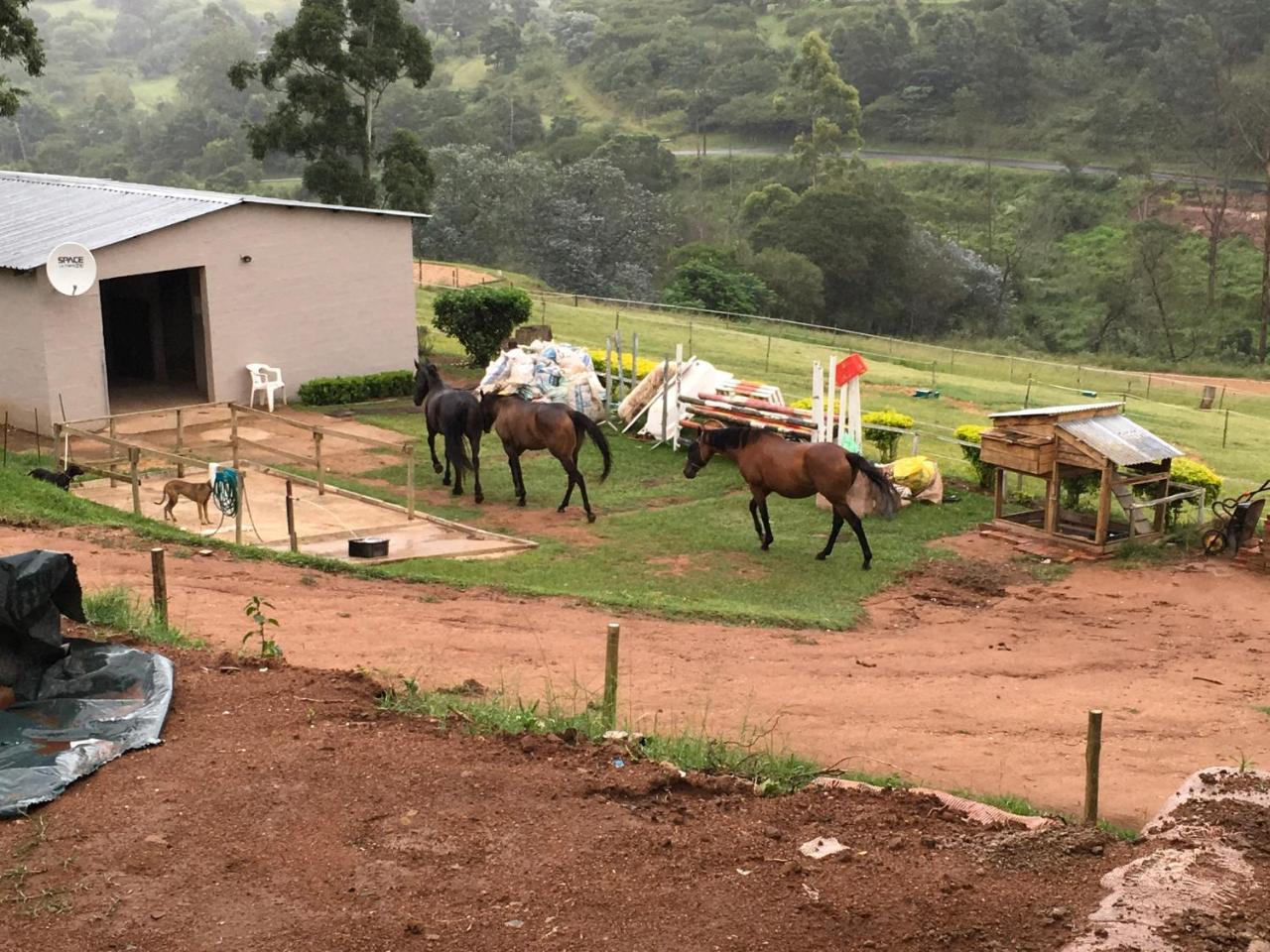 Cavalo Guesthouse & Equestrian Estate Drummond 외부 사진