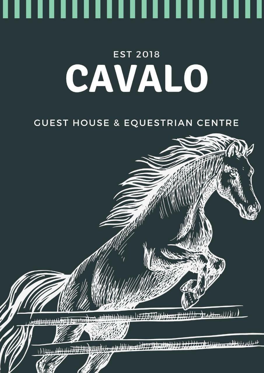 Cavalo Guesthouse & Equestrian Estate Drummond 외부 사진