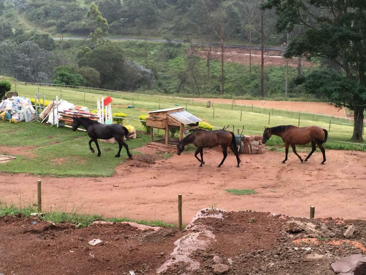 Cavalo Guesthouse & Equestrian Estate Drummond 외부 사진
